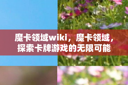 魔卡领域wiki，魔卡领域，探索卡牌游戏的无限可能