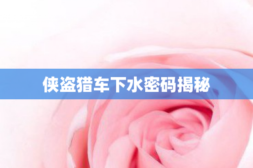 侠盗猎车下水密码揭秘