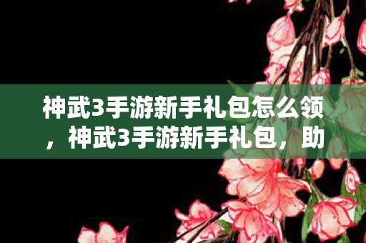 神武3手游新手礼包怎么领，神武3手游新手礼包，助你快速启程的秘籍