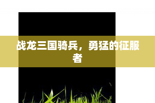 战龙三国骑兵，勇猛的征服者