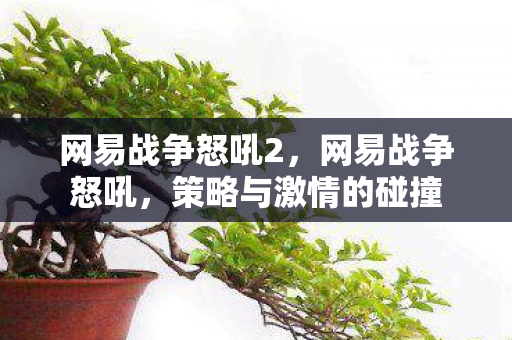网易战争怒吼2，网易战争怒吼，策略与激情的碰撞
