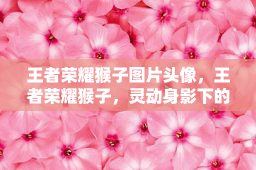 王者荣耀猴子图片头像，王者荣耀猴子，灵动身影下的英雄传奇