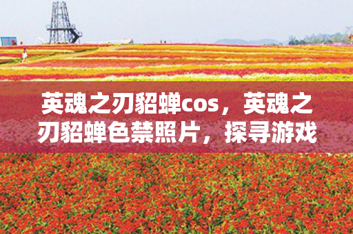 英魂之刃貂蝉cos，英魂之刃貂蝉色禁照片，探寻游戏美学的边界