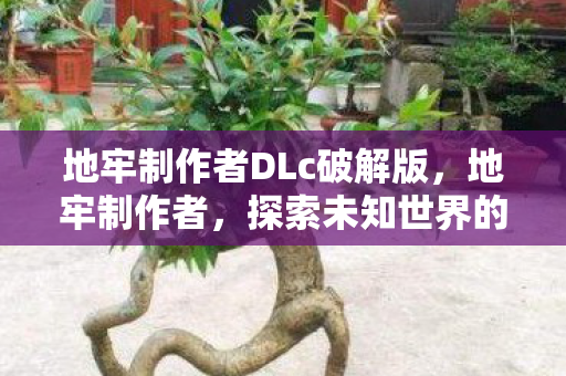 地牢制作者DLc破解版，地牢制作者，探索未知世界的奇妙之旅