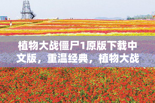 植物大战僵尸1原版下载中文版,重温经典,植物大战僵尸1的无限魅力 植物大战僵尸1原版下载中文版,重温经典,植物大战僵尸1的无限魅力