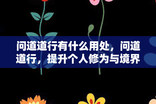 问道道行有什么用处,问道道行,提升个人修为与境界的奥秘 问道道行有什么用处,问道道行,提升个人修为与境界的奥秘