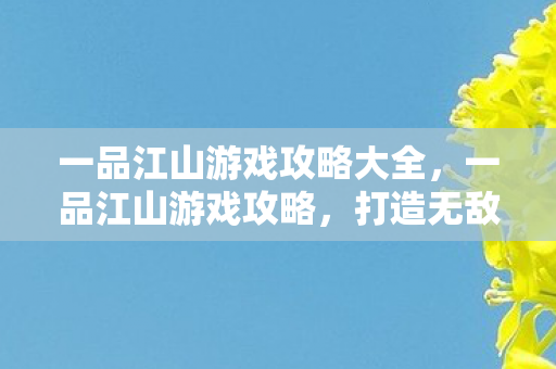 一品江山游戏攻略大全,一品江山游戏攻略,打造无敌江山的策略与技巧 一品江山游戏攻略大全,一品江山游戏攻略,打造无敌江山的策略与技巧