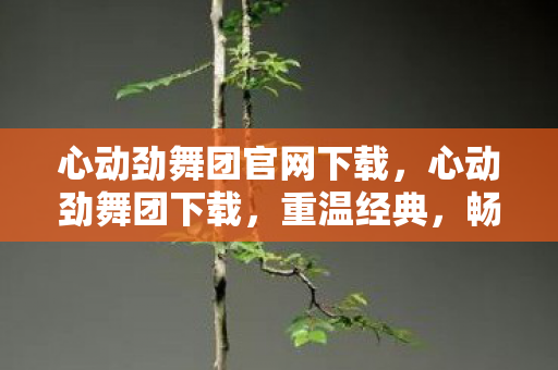 心动劲舞团官网下载，心动劲舞团下载，重温经典，畅享音乐与舞蹈的盛宴