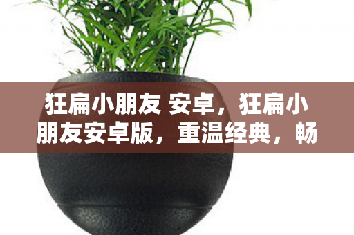 狂扁小朋友 安卓，狂扁小朋友安卓版，重温经典，畅享掌中娱乐
