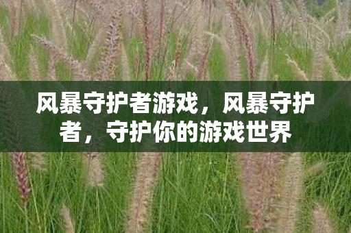 风暴守护者游戏,风暴守护者,守护你的游戏世界 风暴守护者游戏,风暴守护者,守护你的游戏世界