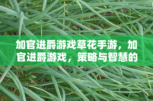 加官进爵游戏草花手游,加官进爵游戏,策略与智慧的碰撞 加官进爵游戏草花手游,加官进爵游戏,策略与智慧的碰撞