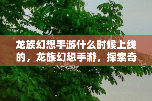 龙族幻想手游什么时候上线的,龙族幻想手游,探索奇幻世界的无限可能 龙族幻想手游什么时候上线的,龙族幻想手游,探索奇幻世界的无限可能
