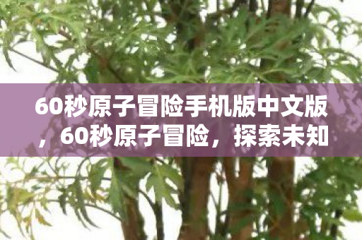 60秒原子冒险手机版中文版，60秒原子冒险，探索未知世界的奇妙旅程