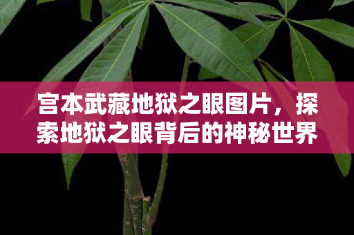 宫本武藏地狱之眼图片,探索地狱之眼背后的神秘世界 宫本武藏地狱之眼图片,探索地狱之眼背后的神秘世界