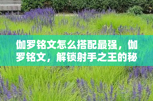 伽罗铭文怎么搭配最强,伽罗铭文,解锁射手之王的秘密 伽罗铭文怎么搭配最强,伽罗铭文,解锁射手之王的秘密