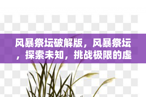 风暴祭坛破解版，风暴祭坛，探索未知，挑战极限的虚拟世界