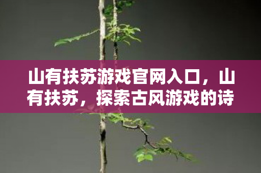 山有扶苏游戏官网入口,山有扶苏,探索古风游戏的诗意与韵味 山有扶苏游戏官网入口,山有扶苏,探索古风游戏的诗意与韵味