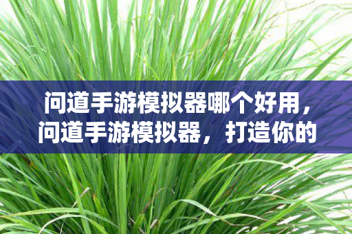 问道手游模拟器哪个好用，问道手游模拟器，打造你的专属修仙之旅