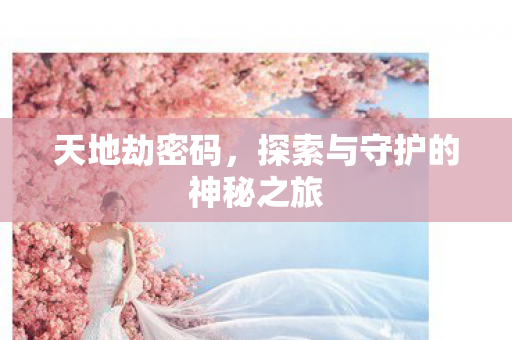 天地劫密码，探索与守护的神秘之旅