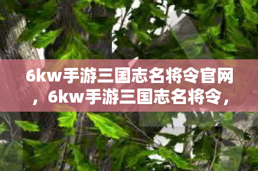 6kw手游三国志名将令官网,6kw手游三国志名将令,策略与智慧的碰撞 6kw手游三国志名将令官网,6kw手游三国志名将令,策略与智慧的碰撞