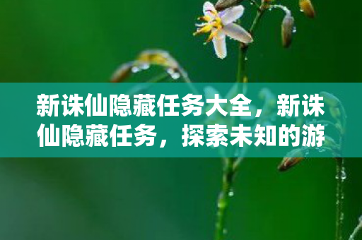 新诛仙隐藏任务大全，新诛仙隐藏任务，探索未知的游戏世界