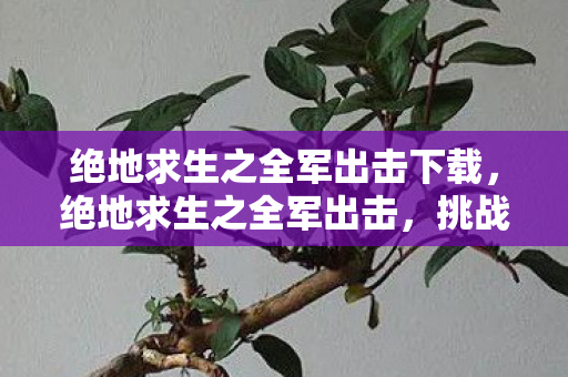 绝地求生之全军出击下载,绝地求生之全军出击,挑战与机遇并存的竞技之旅 绝地求生之全军出击下载,绝地求生之全军出击,挑战与机遇并存的竞技之旅