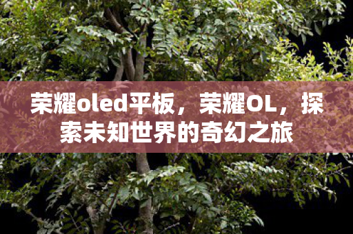 荣耀oled平板，荣耀OL，探索未知世界的奇幻之旅