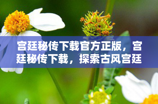 宫廷秘传下载官方正版，宫廷秘传下载，探索古风宫廷世界的便捷途径
