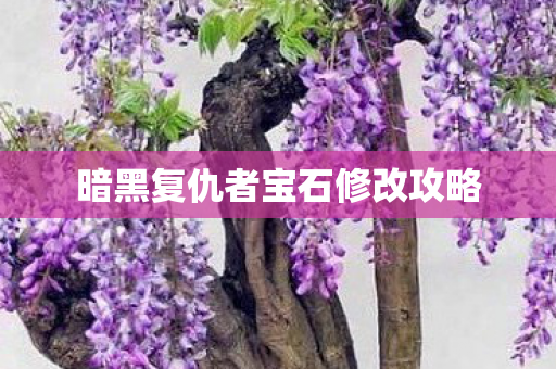 暗黑复仇者宝石修改攻略