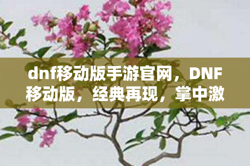dnf移动版手游官网，DNF移动版，经典再现，掌中激战
