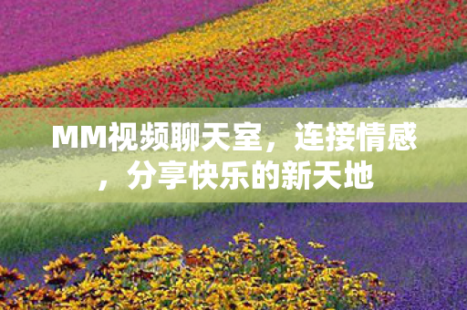 MM视频聊天室，连接情感，分享快乐的新天地