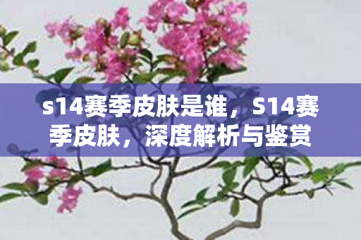 s14赛季皮肤是谁，S14赛季皮肤，深度解析与鉴赏