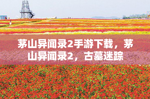 茅山异闻录2手游下载,茅山异闻录2,古墓迷踪 茅山异闻录2手游下载,茅山异闻录2,古墓迷踪