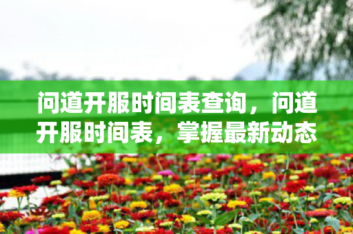问道开服时间表查询，问道开服时间表，掌握最新动态，畅游仙侠世界