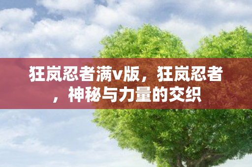 狂岚忍者满v版,狂岚忍者,神秘与力量的交织 狂岚忍者满v版,狂岚忍者,神秘与力量的交织