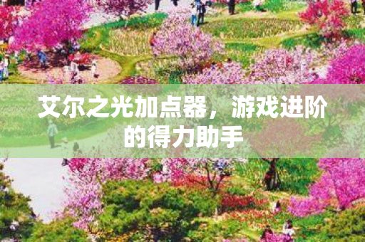 艾尔之光加点器，游戏进阶的得力助手