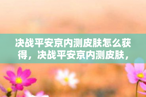 决战平安京内测皮肤怎么获得，决战平安京内测皮肤，探索神秘与惊喜的旅程