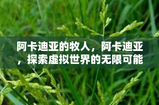 阿卡迪亚的牧人，阿卡迪亚，探索虚拟世界的无限可能