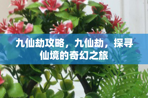 九仙劫攻略，九仙劫，探寻仙境的奇幻之旅