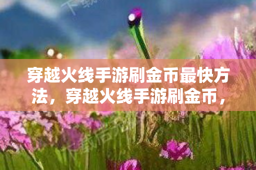 穿越火线手游刷金币最快方法,穿越火线手游刷金币,合法合规的金币获取之道 穿越火线手游刷金币最快方法,穿越火线手游刷金币,合法合规的金币获取之道