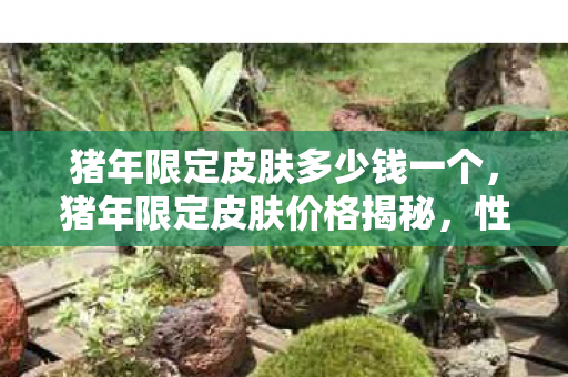 猪年限定皮肤多少钱一个,猪年限定皮肤价格揭秘,性价比与收藏价值的平衡点 猪年限定皮肤多少钱一个,猪年限定皮肤价格揭秘,性价比与收藏价值的平衡点