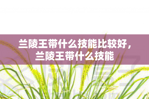 兰陵王带什么技能比较好，兰陵王带什么技能