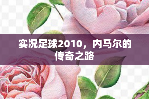 实况足球2010，内马尔的传奇之路