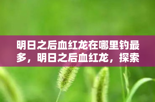 明日之后血红龙在哪里钓最多,明日之后血红龙,探索未知世界的奇幻冒险 明日之后血红龙在哪里钓最多,明日之后血红龙,探索未知世界的奇幻冒险