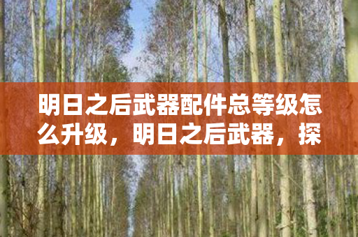 明日之后武器配件总等级怎么升级，明日之后武器，探索生存世界的利器