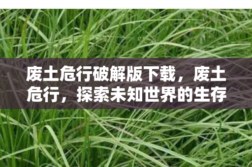 废土危行破解版下载，废土危行，探索未知世界的生存挑战