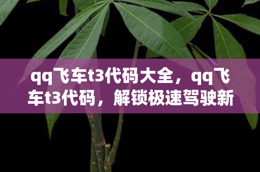 qq飞车t3代码大全，qq飞车t3代码，解锁极速驾驶新体验