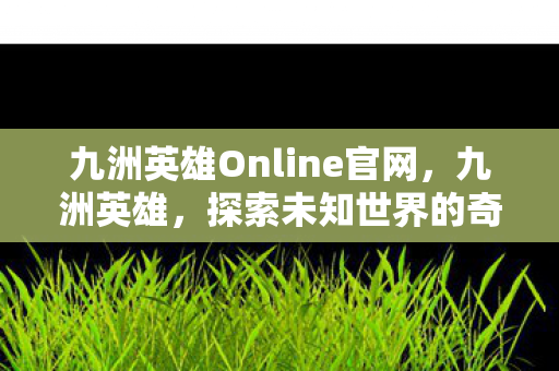 九洲英雄Online官网，九洲英雄，探索未知世界的奇幻之旅