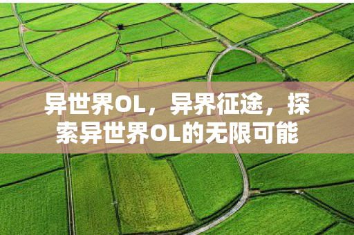 异世界OL，异界征途，探索异世界OL的无限可能