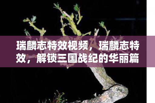 瑞麟志特效视频，瑞麟志特效，解锁三国战纪的华丽篇章